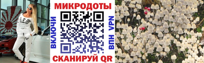 что такое   Переславль-Залесский  Псилоцибиновые грибы ЛСД 