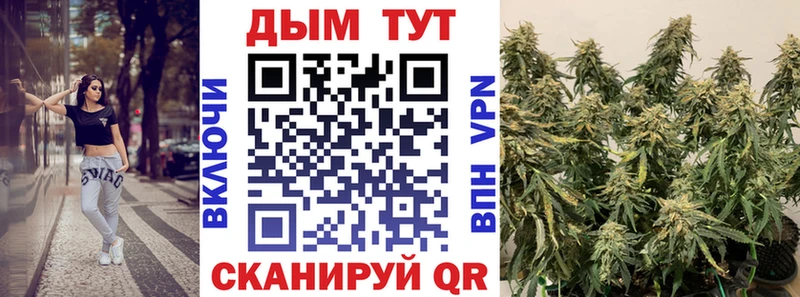 Бошки Шишки семена  что такое   Переславль-Залесский 